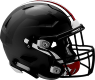 Clearfield Area Bisons logo